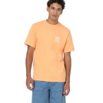 Camiseta Dickies Creswell Papaya Smoothie