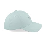 Gorra Vans Coston Structured Jockey Gray Mist