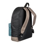 Mochila Quiksilver Everyday Poster Tapestry
