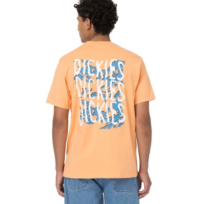Camiseta Dickies Creswell Papaya Smoothie