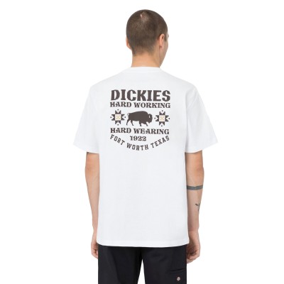 Camiseta Dickies Hays White