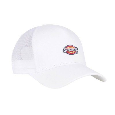 Gorra Dickies Hanston Cloud